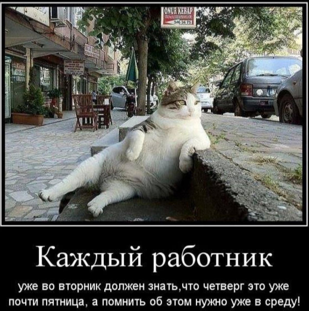 И пусть весь мир подождет