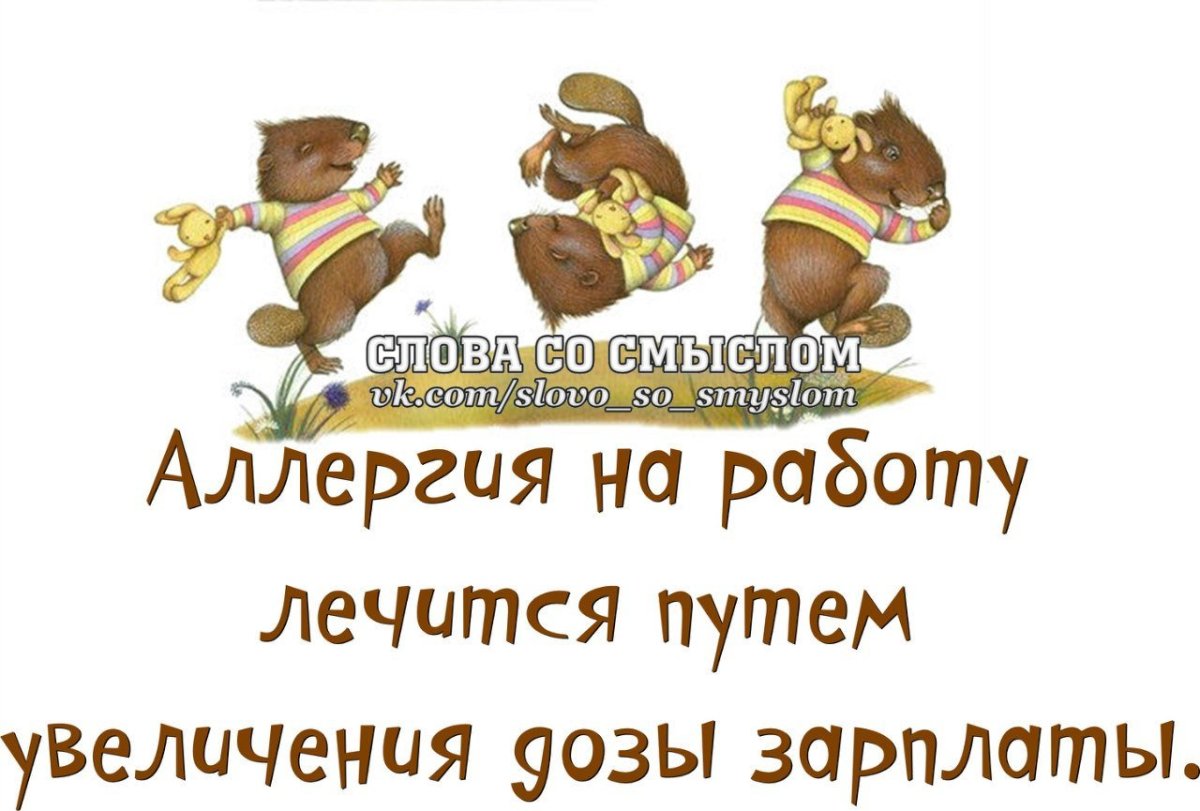 Статусы про вторник смешные