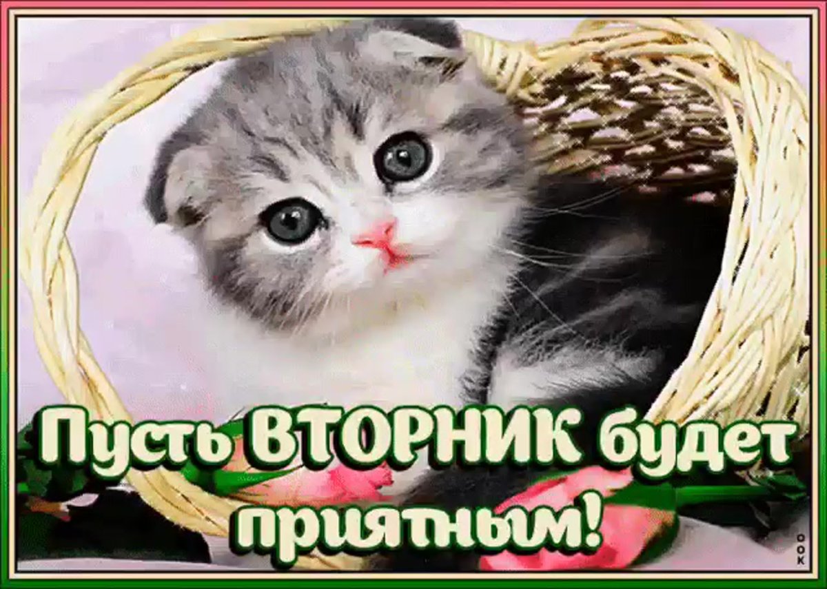 Вторник картинки