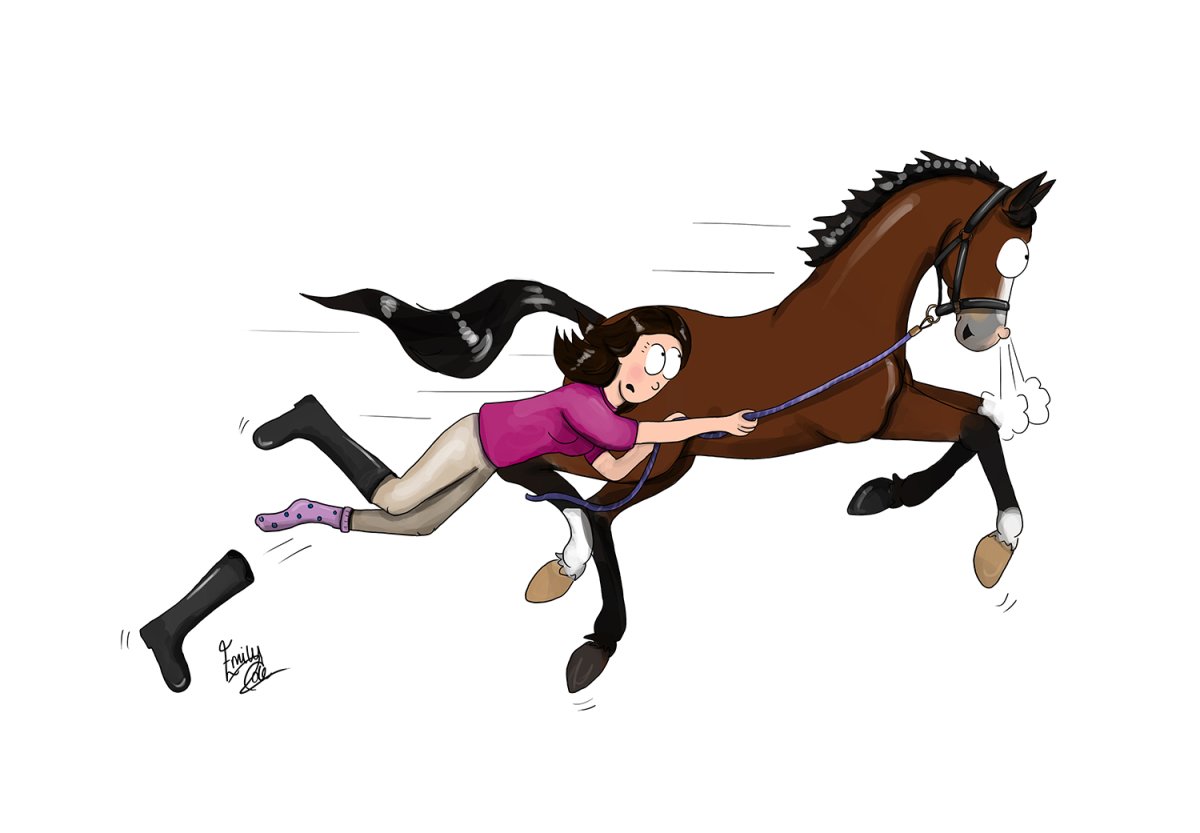 Лошадка Эмили