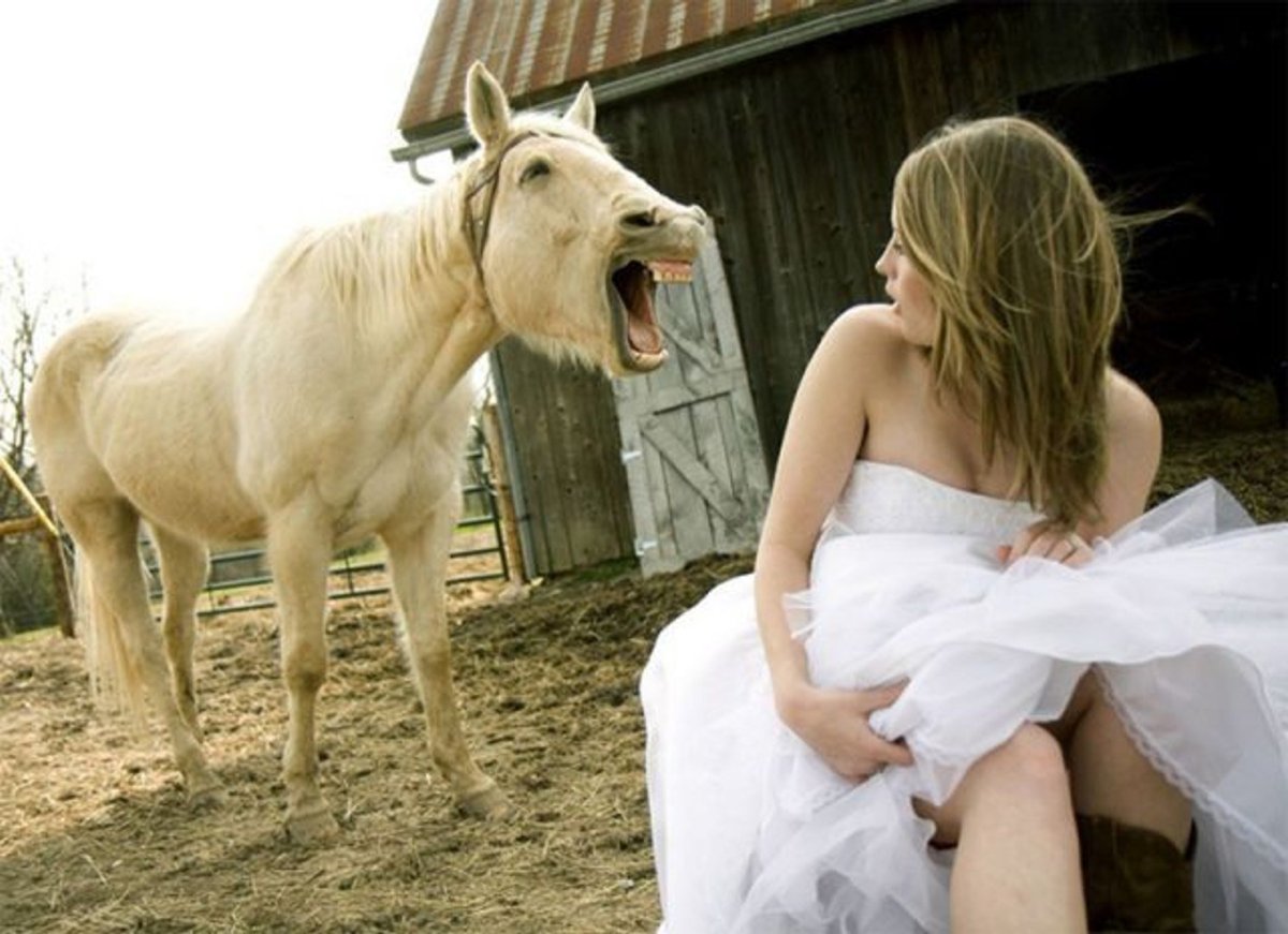 Шуточный принц на белом коне