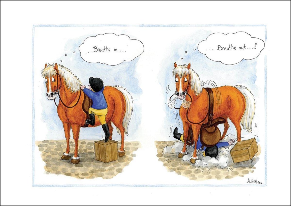 Открытки с лошадьми прикольные