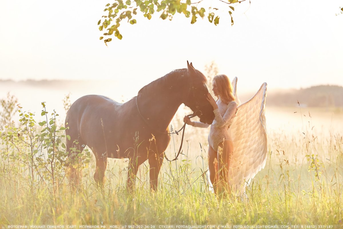 Фотосессия в деревне с лошадьми