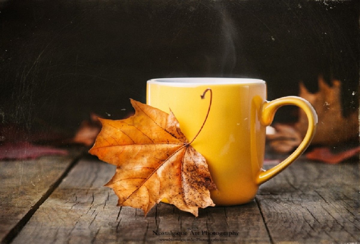 Открытка осеннее утро