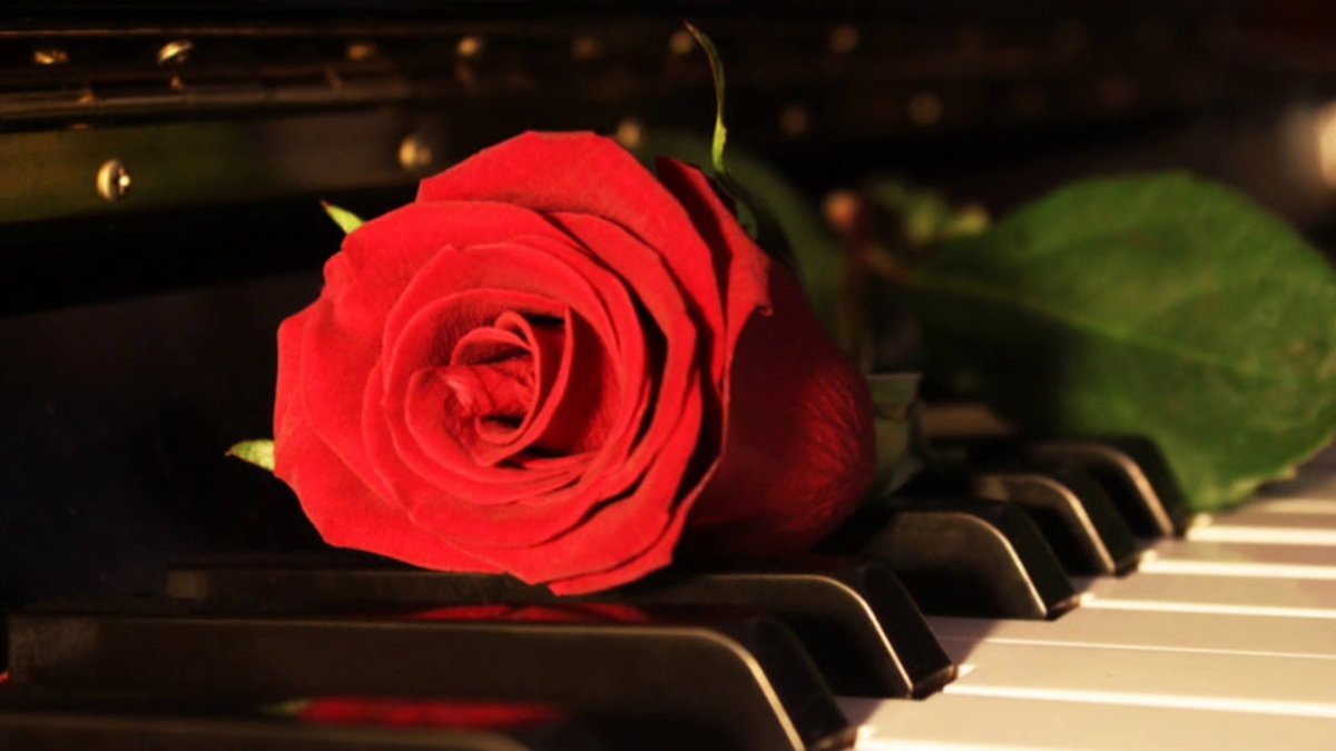 Спасибо за музыкальный вечер