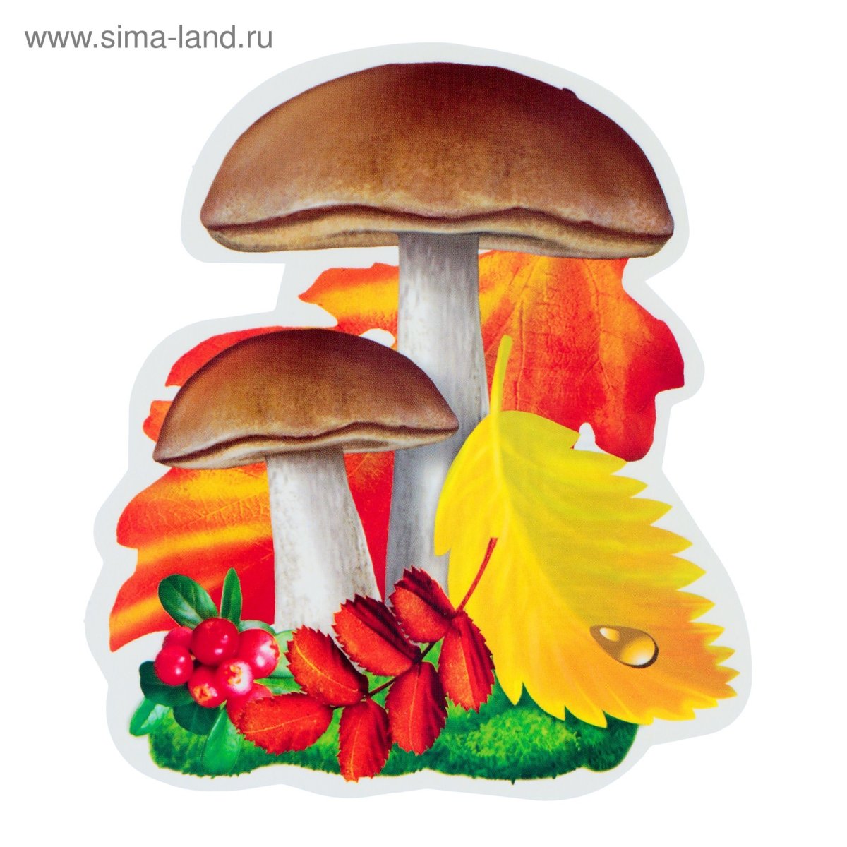 Грибы для детского сада