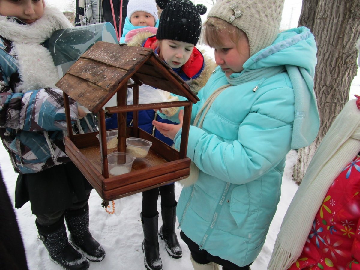 Проект Птичья столовая