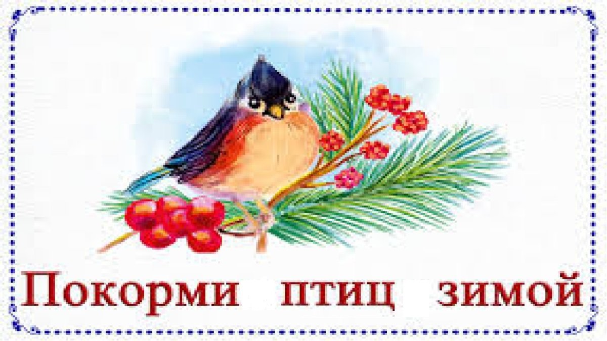 Надпись Покормите птиц зимой