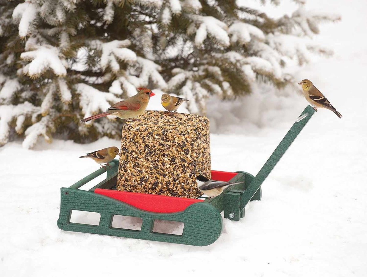 Экологичные кормушки для птиц