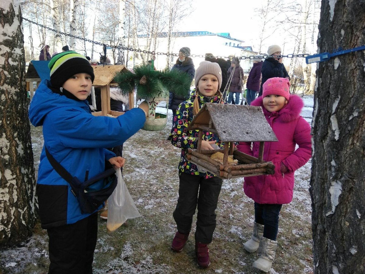 Птичья столовая