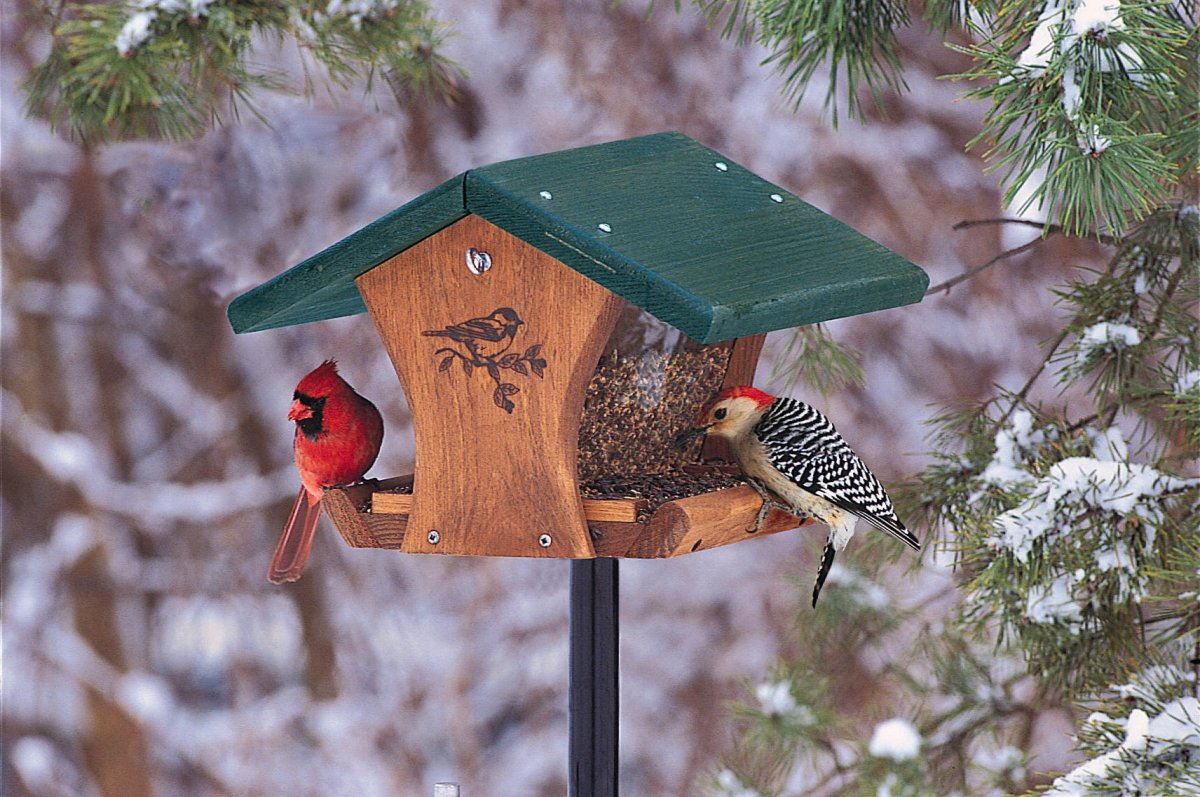 Кормушки для птиц зимой