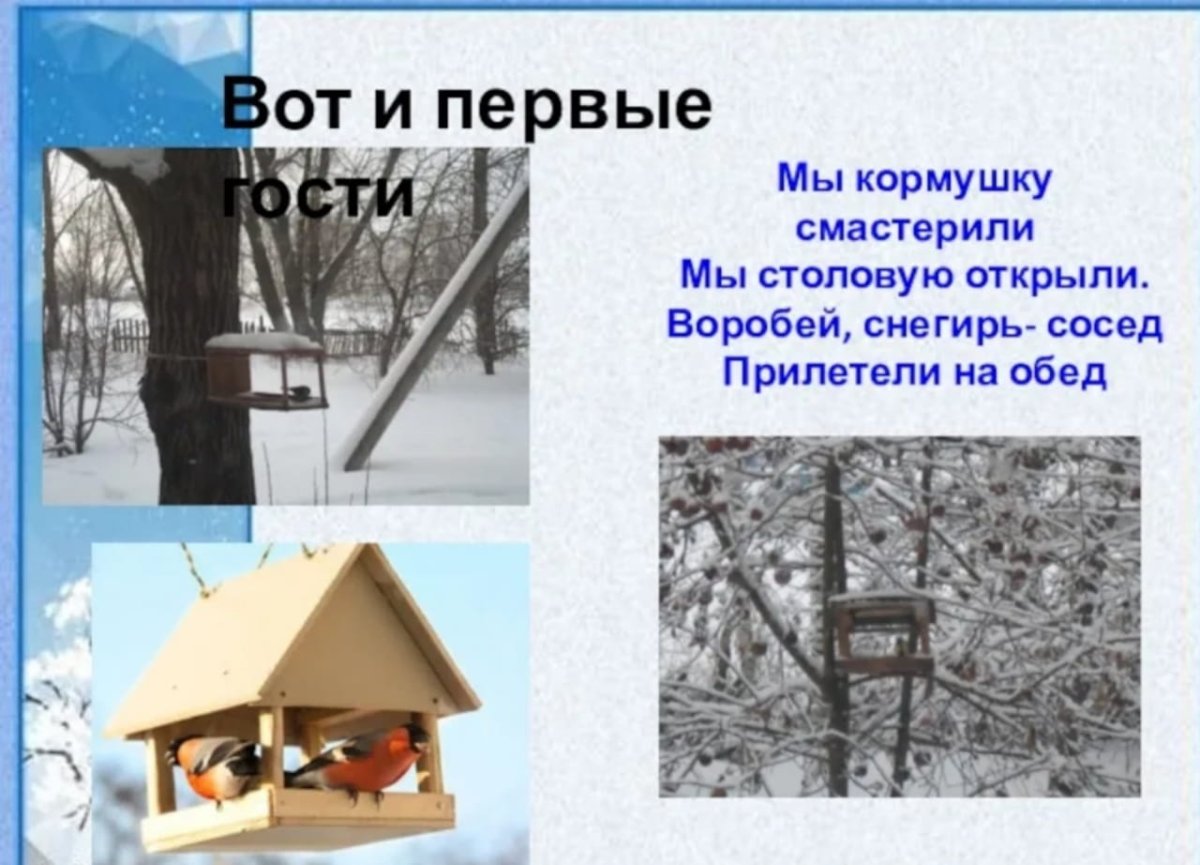 Стих про кормушку для птиц