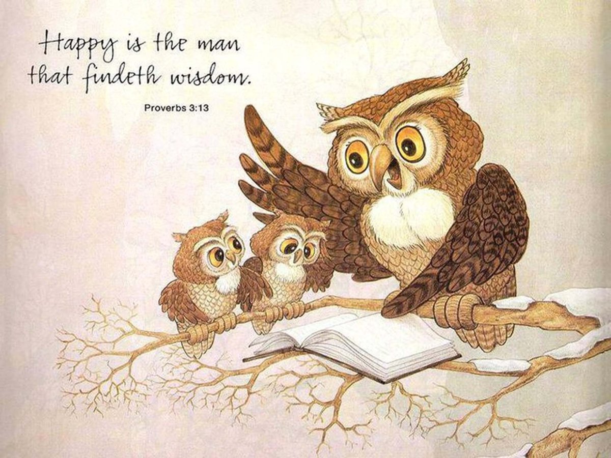 Птичий праздник