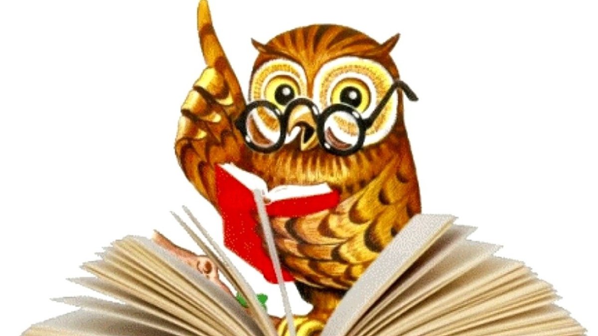 Сова символ мудрости и знаний