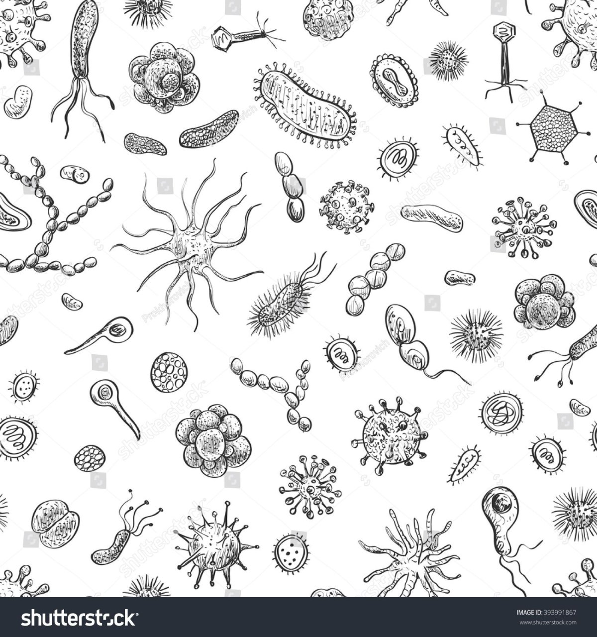 Бактерии черно белые