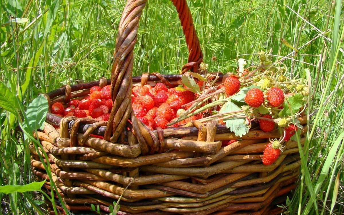Земляника в корзинке