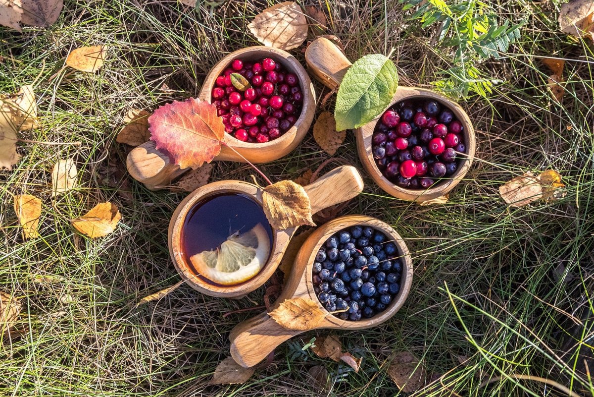 Гостинцы из леса шишки и ягоды