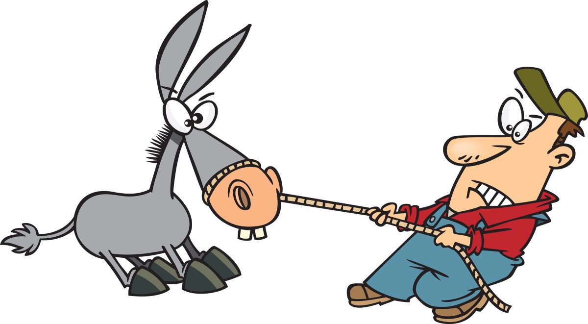 Упрямый ослик