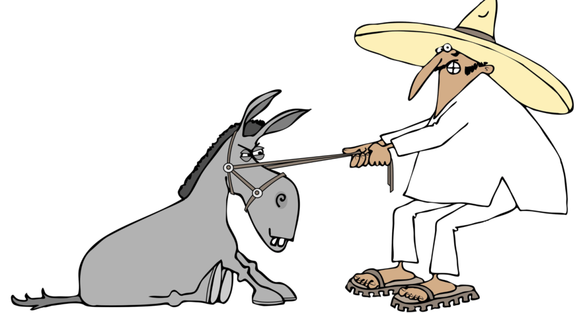 Осел карикатура