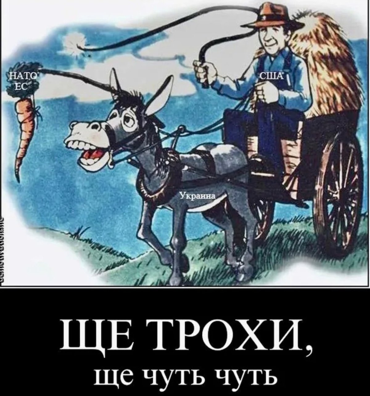 Украинский осел