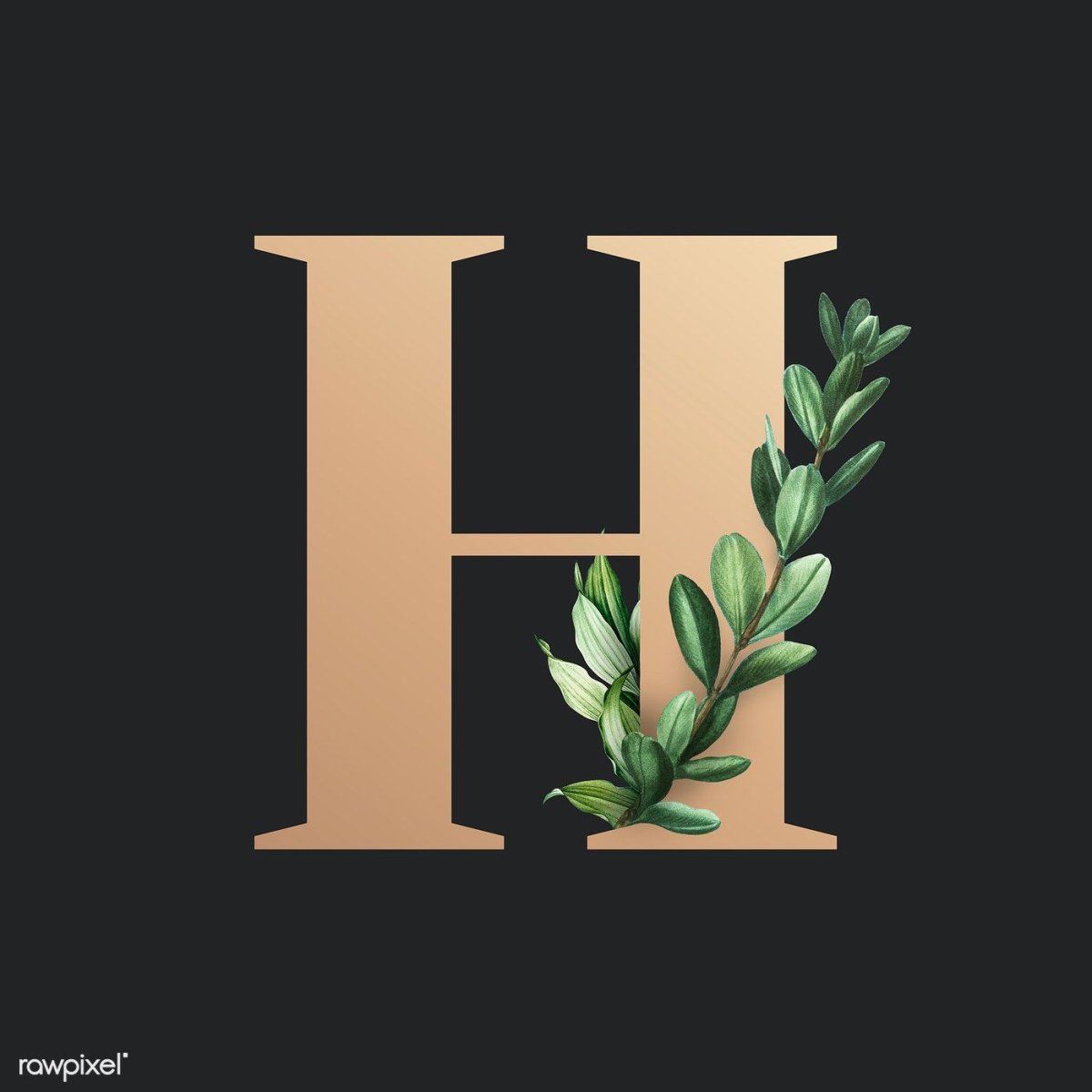 Логотип с буквой н