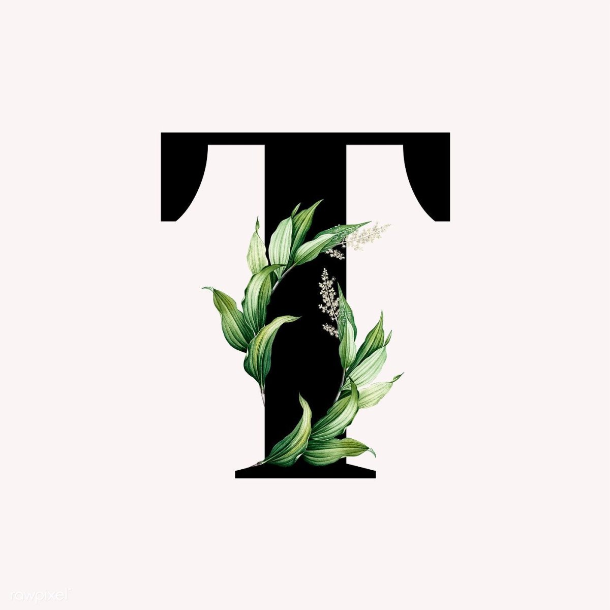 Стилизация буквы т