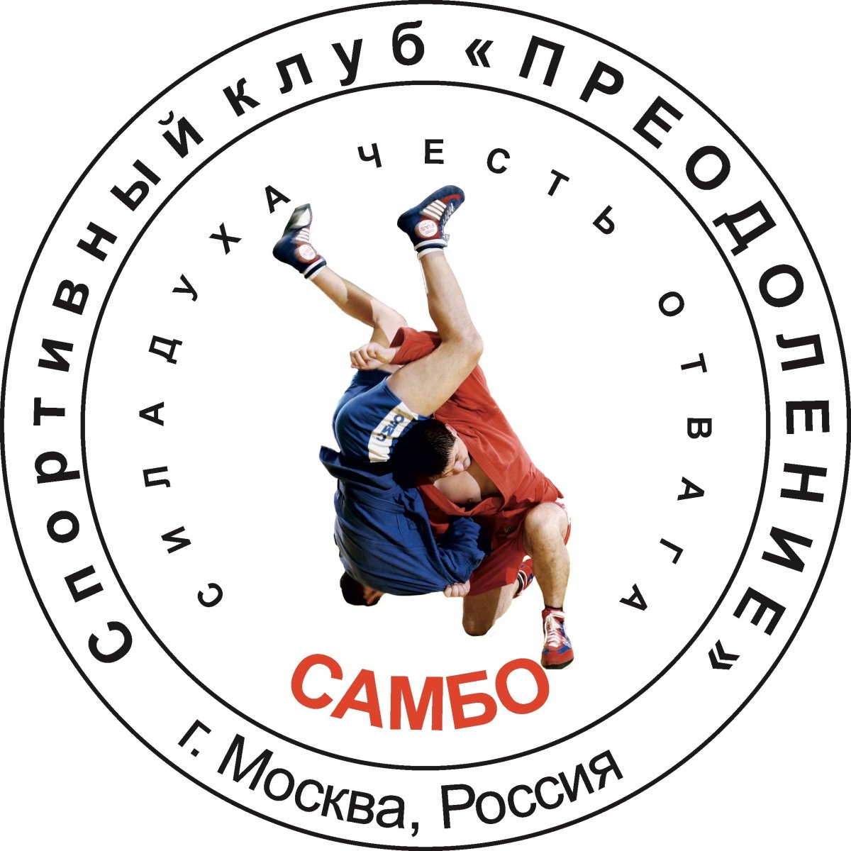 Академия дзюдо и самбо лого