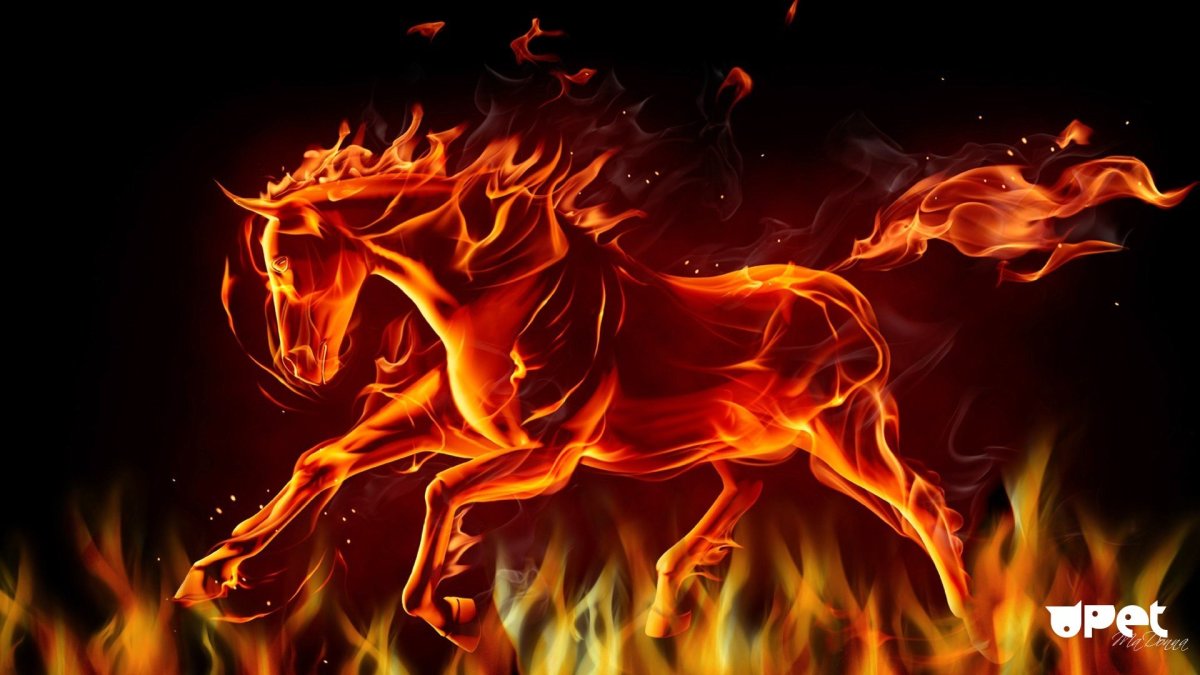 Огненная грива