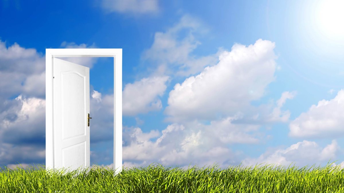 Дверь в счастье