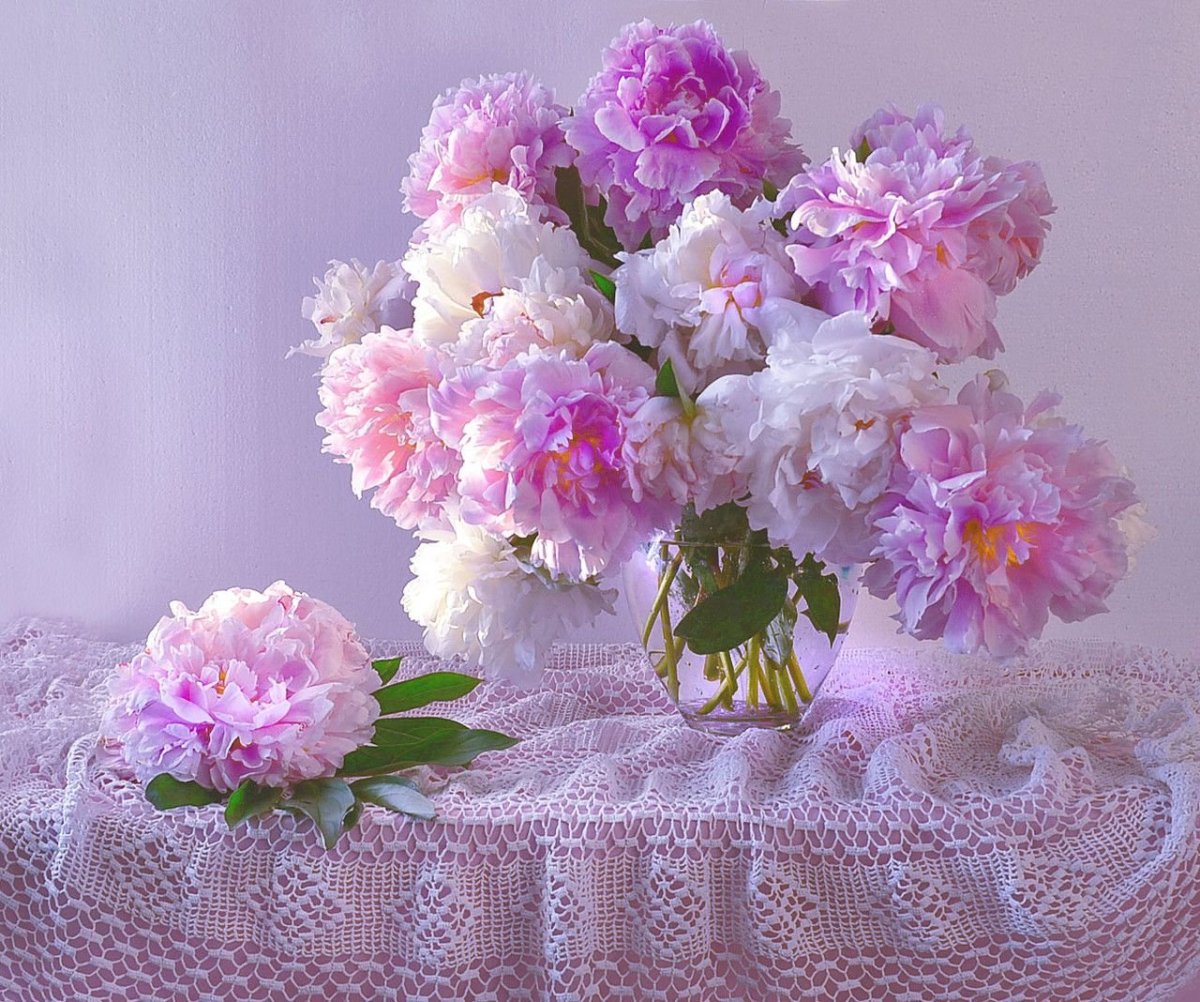 Нежный цветок