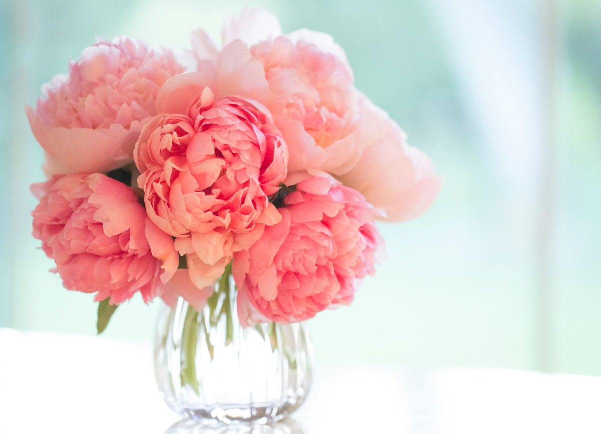 С днём рождения пионы