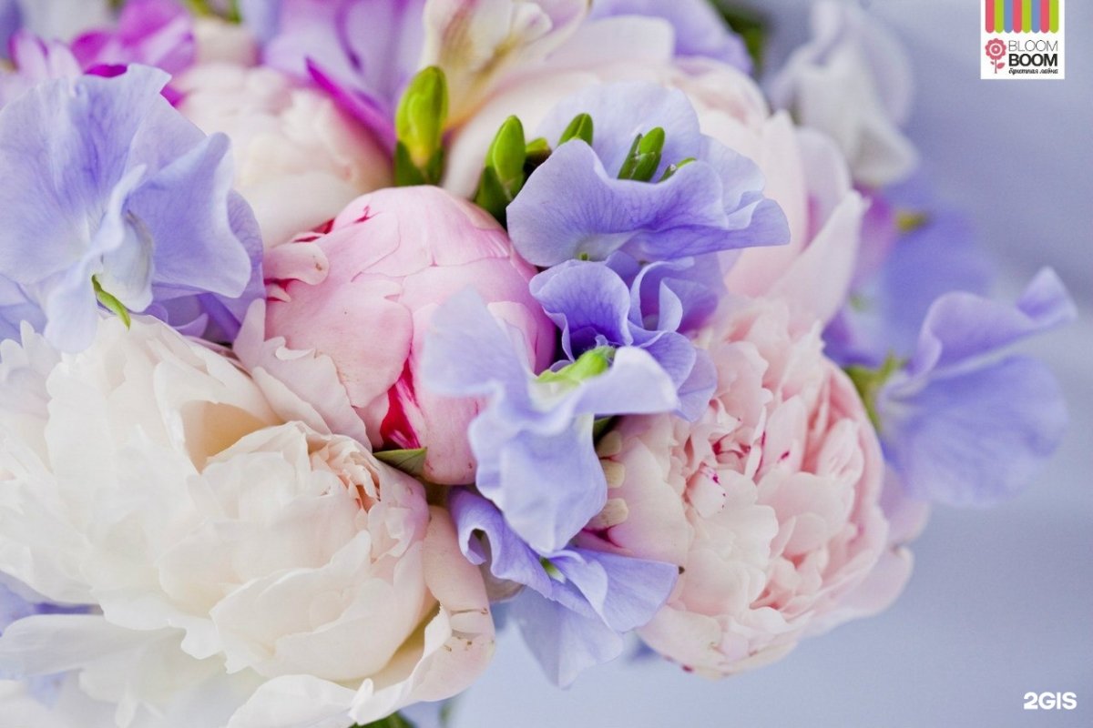 Гиацинт пионы тюльпаны