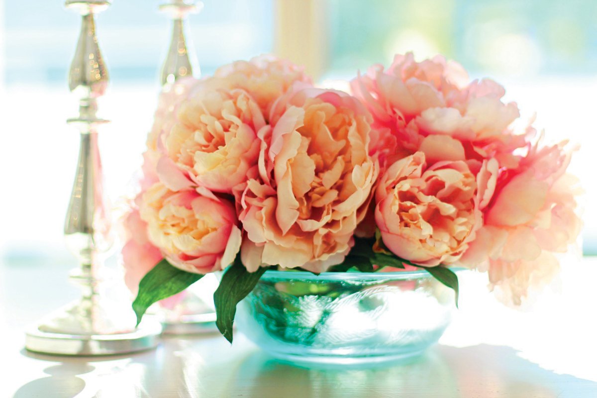 Пионы букет лето