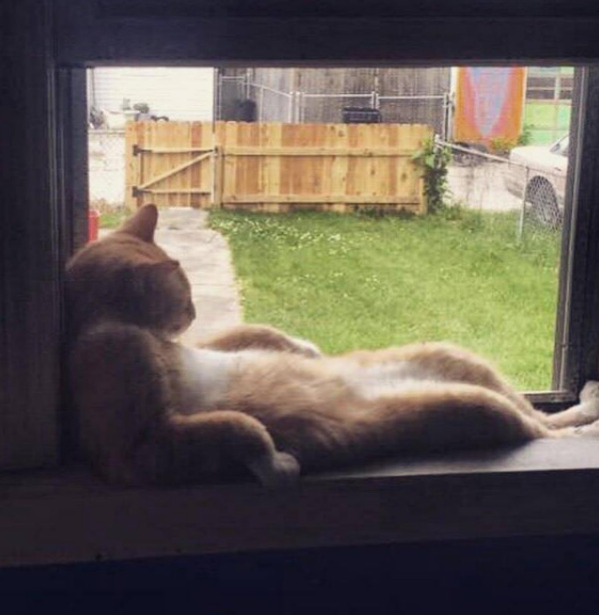 Скучно Веселые картинки