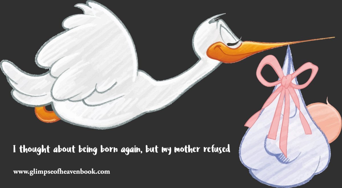 Аист с ребенком в клюве