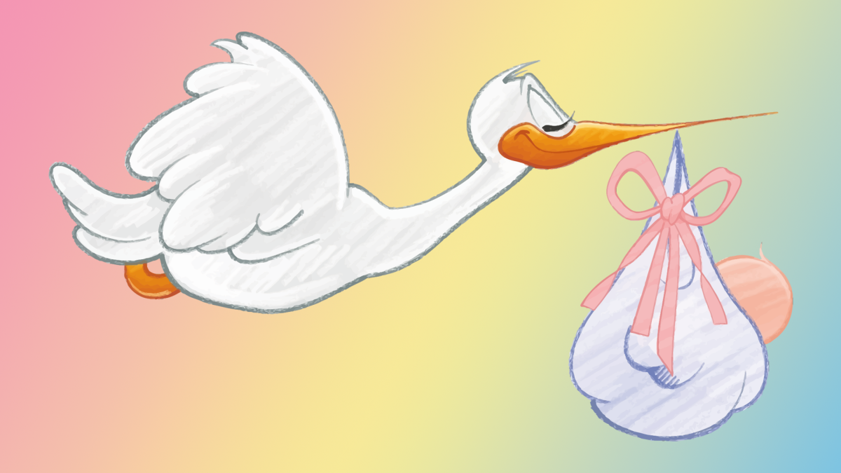 Аист с новорожденным