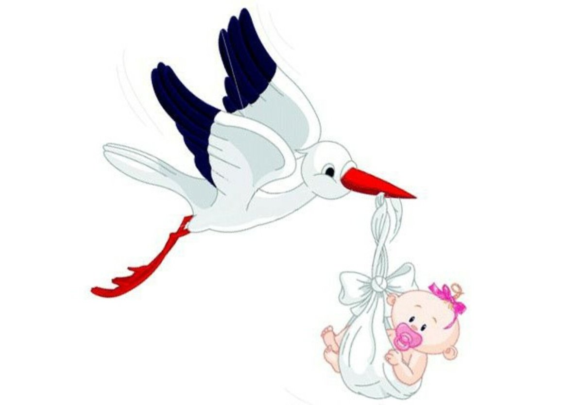 Аист с младенцем девочкой