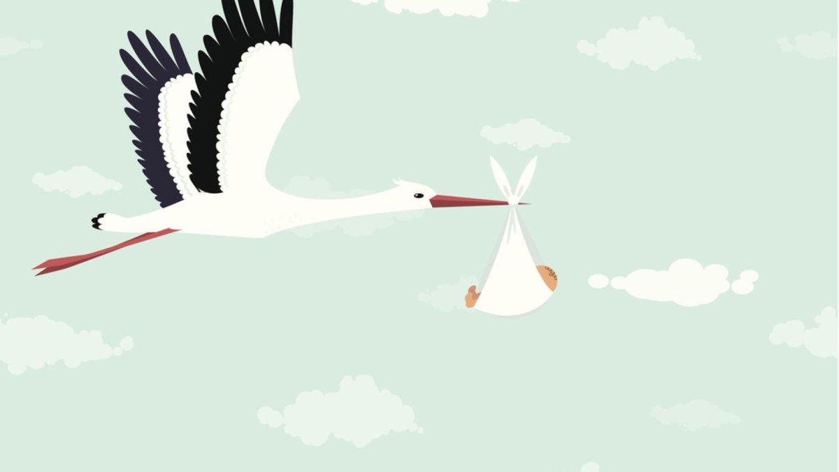 Игра Аист приносит детей