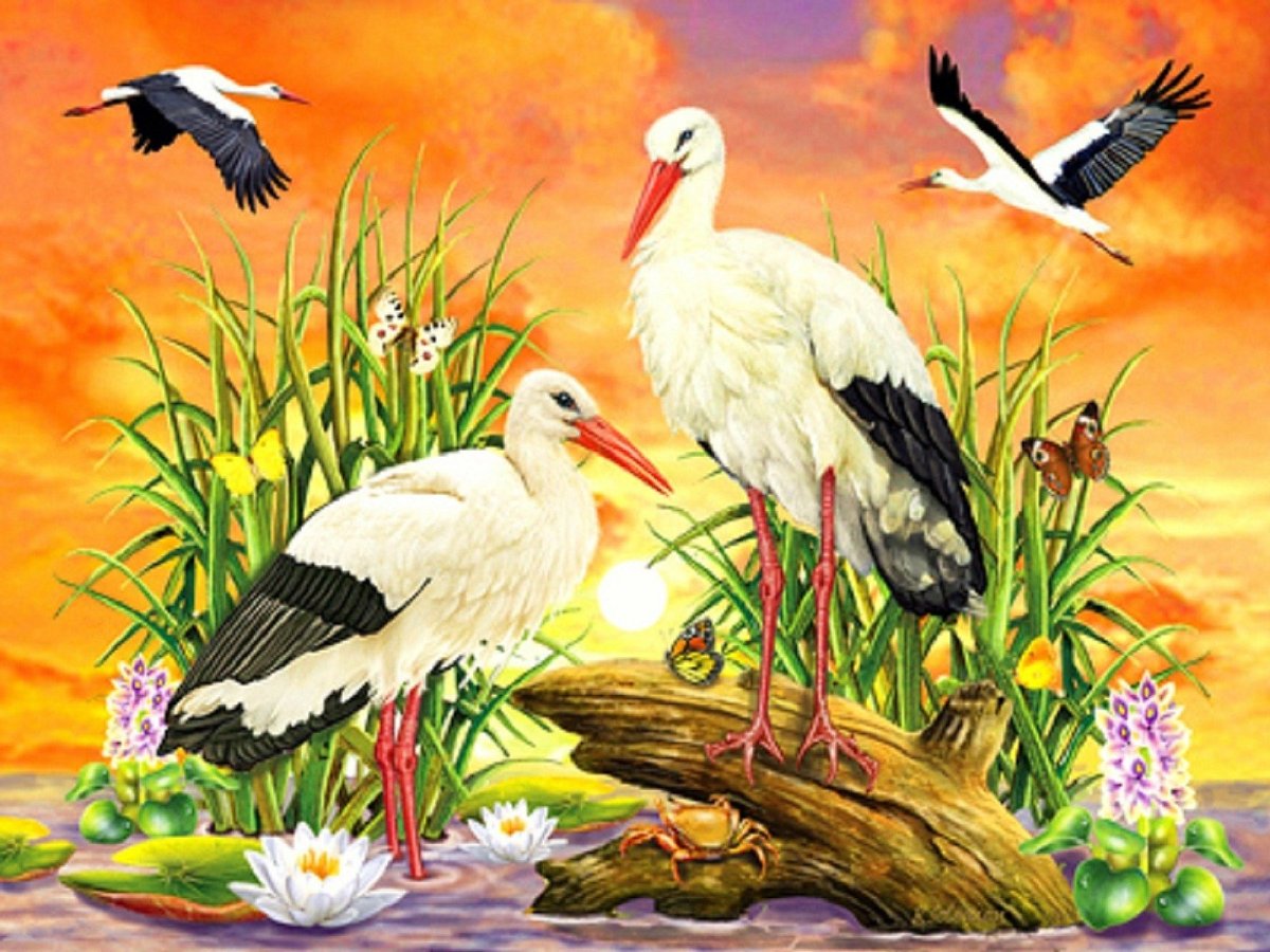 Алмазная мозаика Аисты