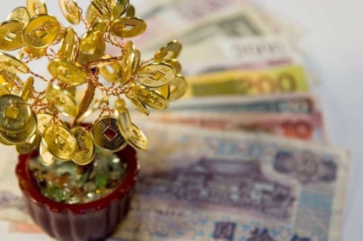 Денежное дерево с деньгами