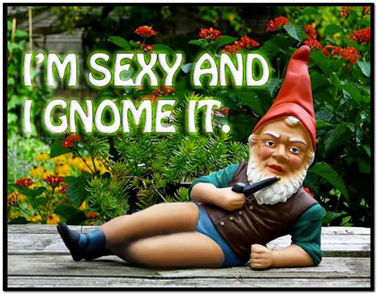 Озабоченный Гном