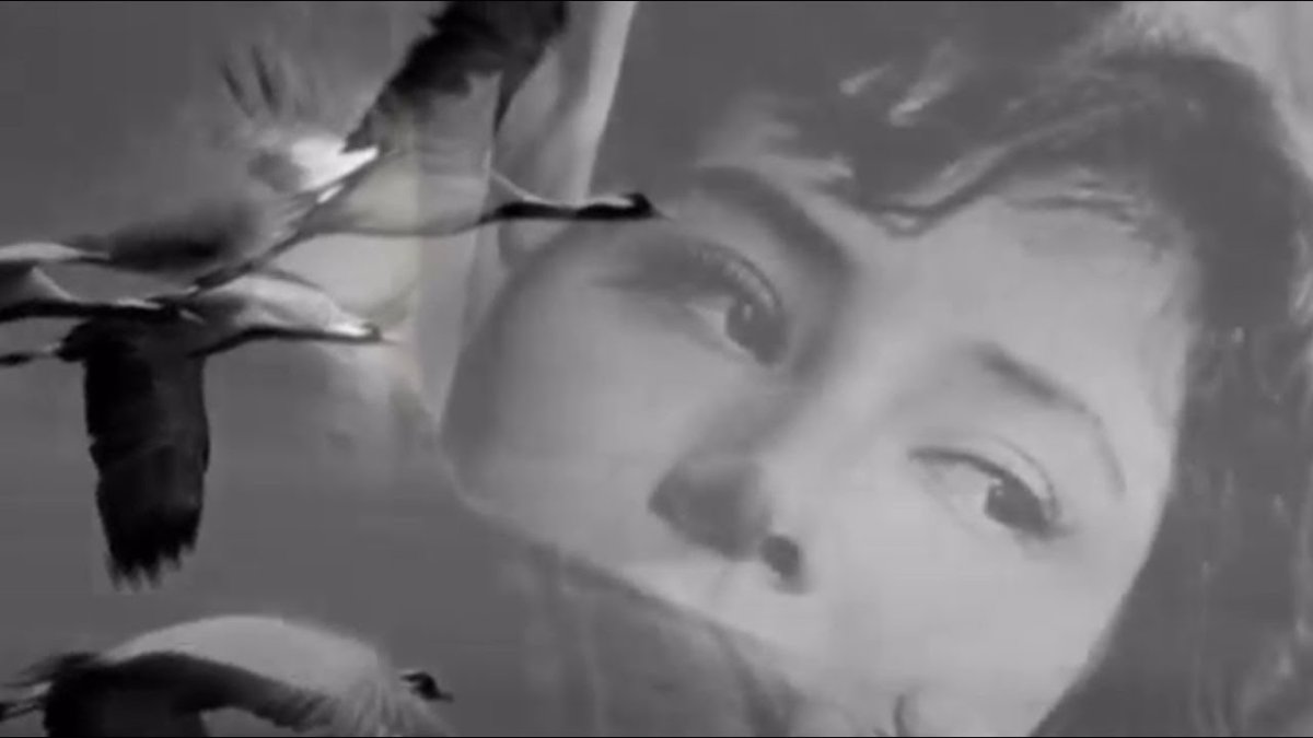 Летят Журавли Марк