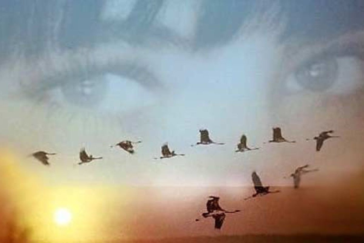 Журавли Великая Отечественная война