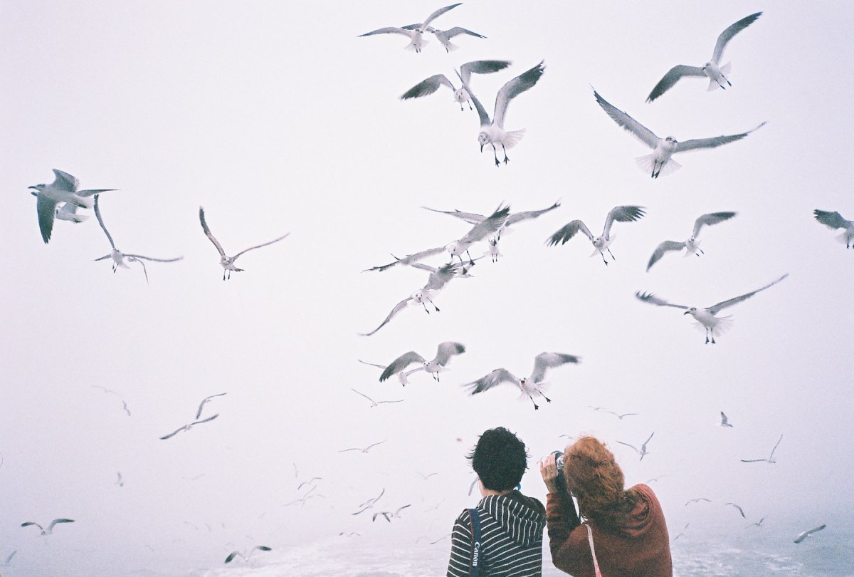 Человек и улетающие птицы