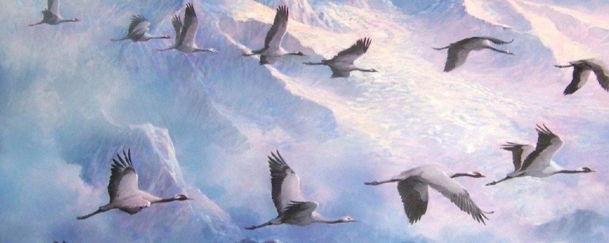 Живопись а превратились в белых журавлей