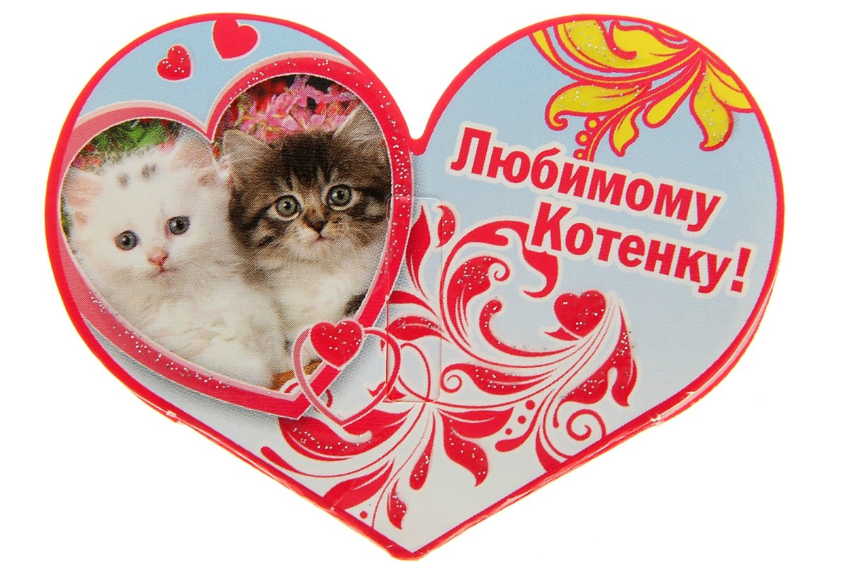 Открытки любимой с котиками