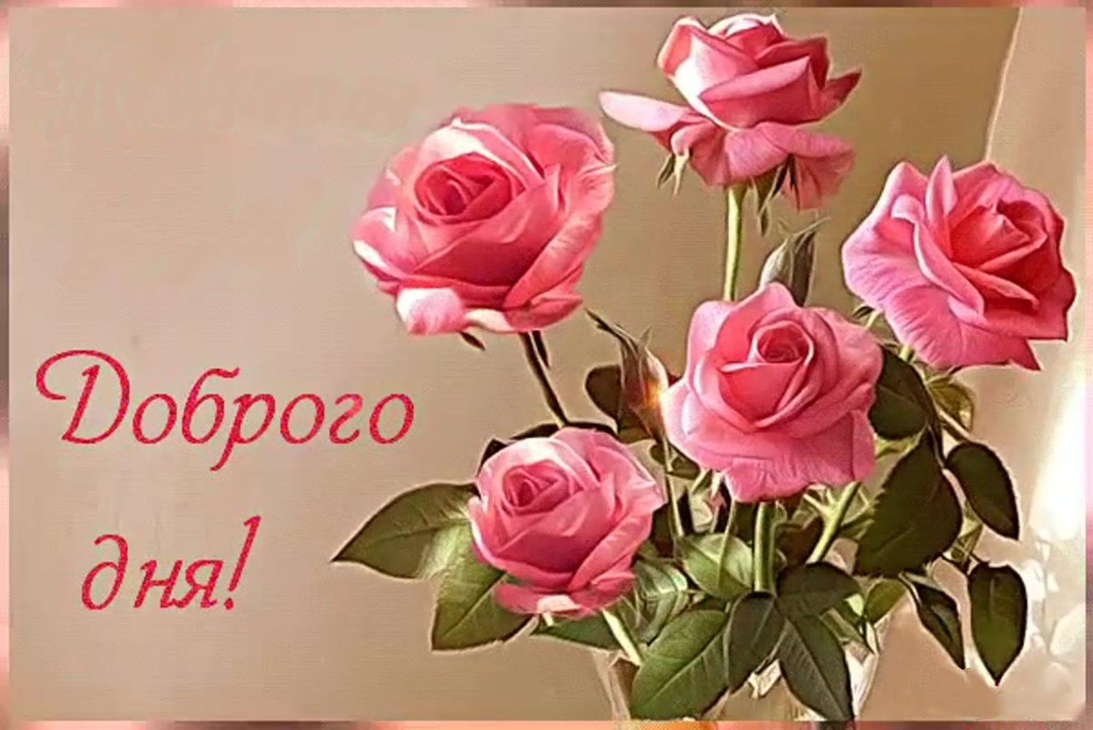 Доброе утро с розами и пожеланиями
