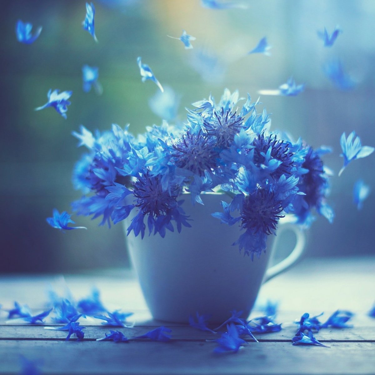 Васильки в чашке