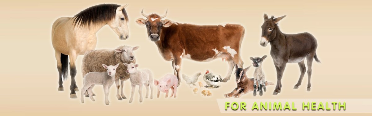 Товары для животных