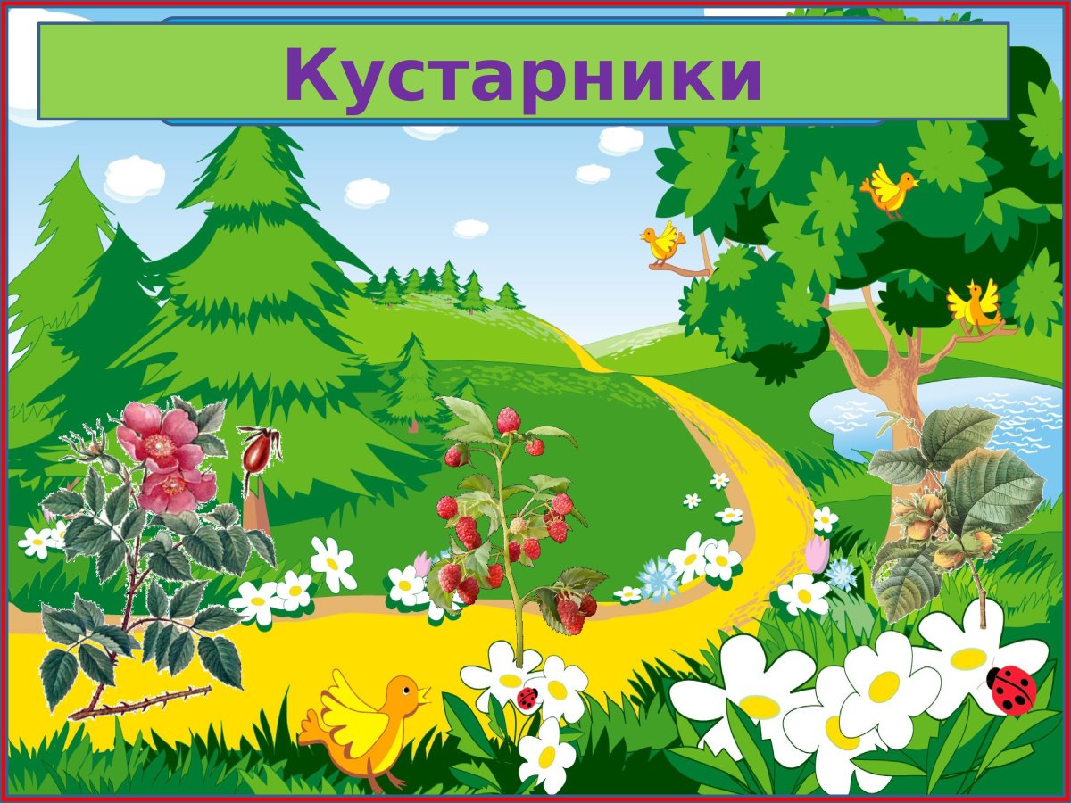 Картинки по окружающему миру для оформления